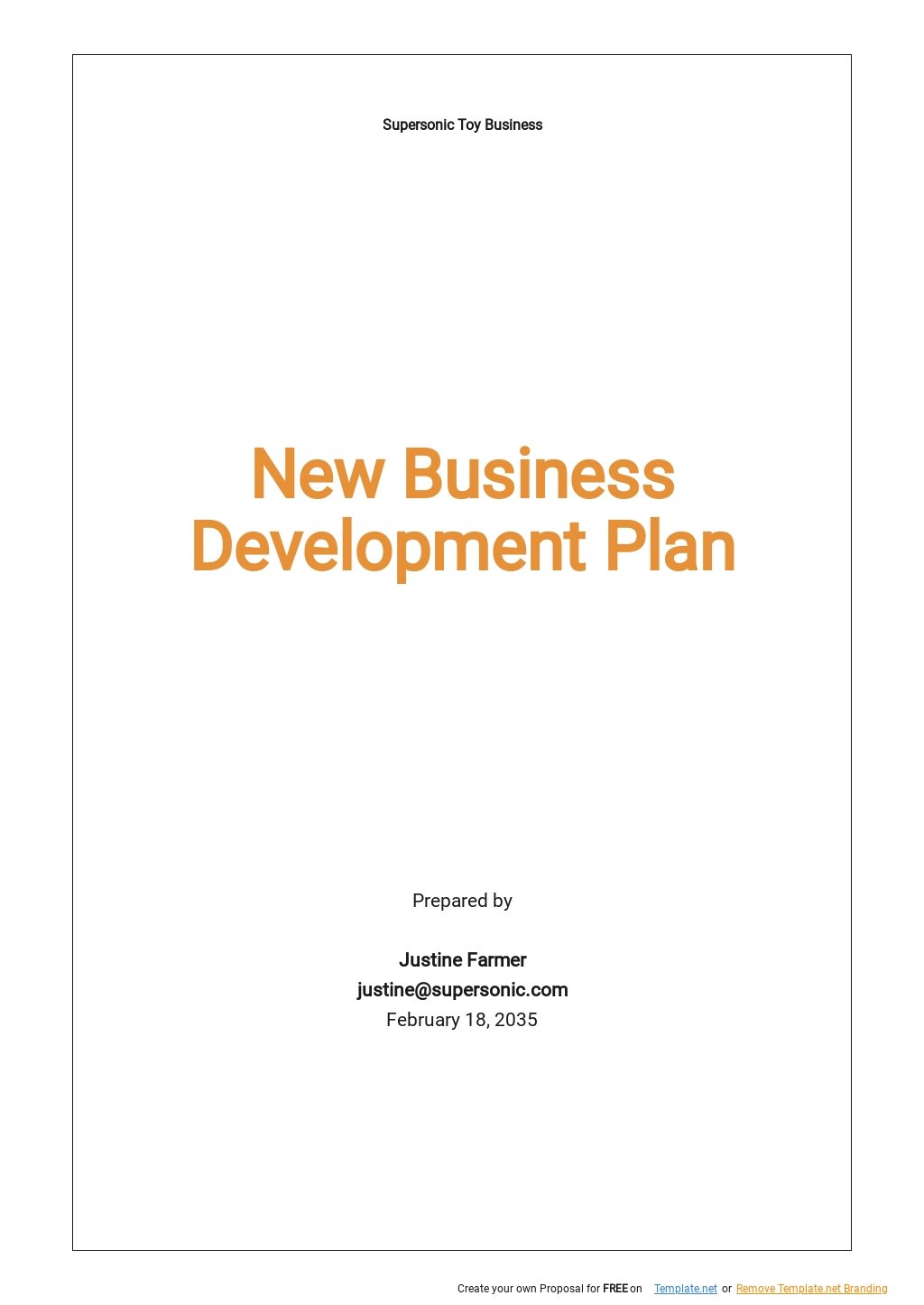 Free Sample New Business Development Plan Template