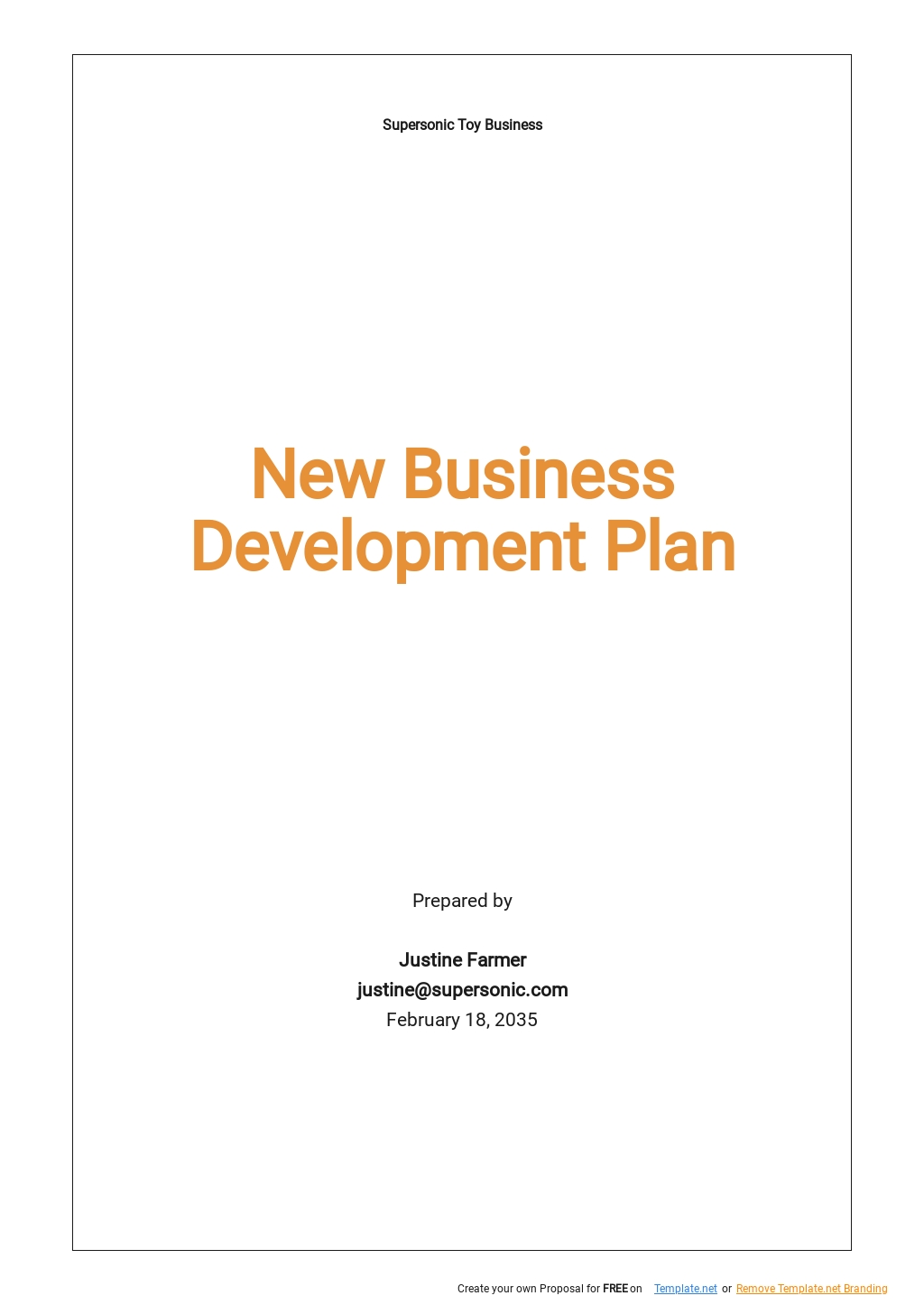 sample business plan for web development company