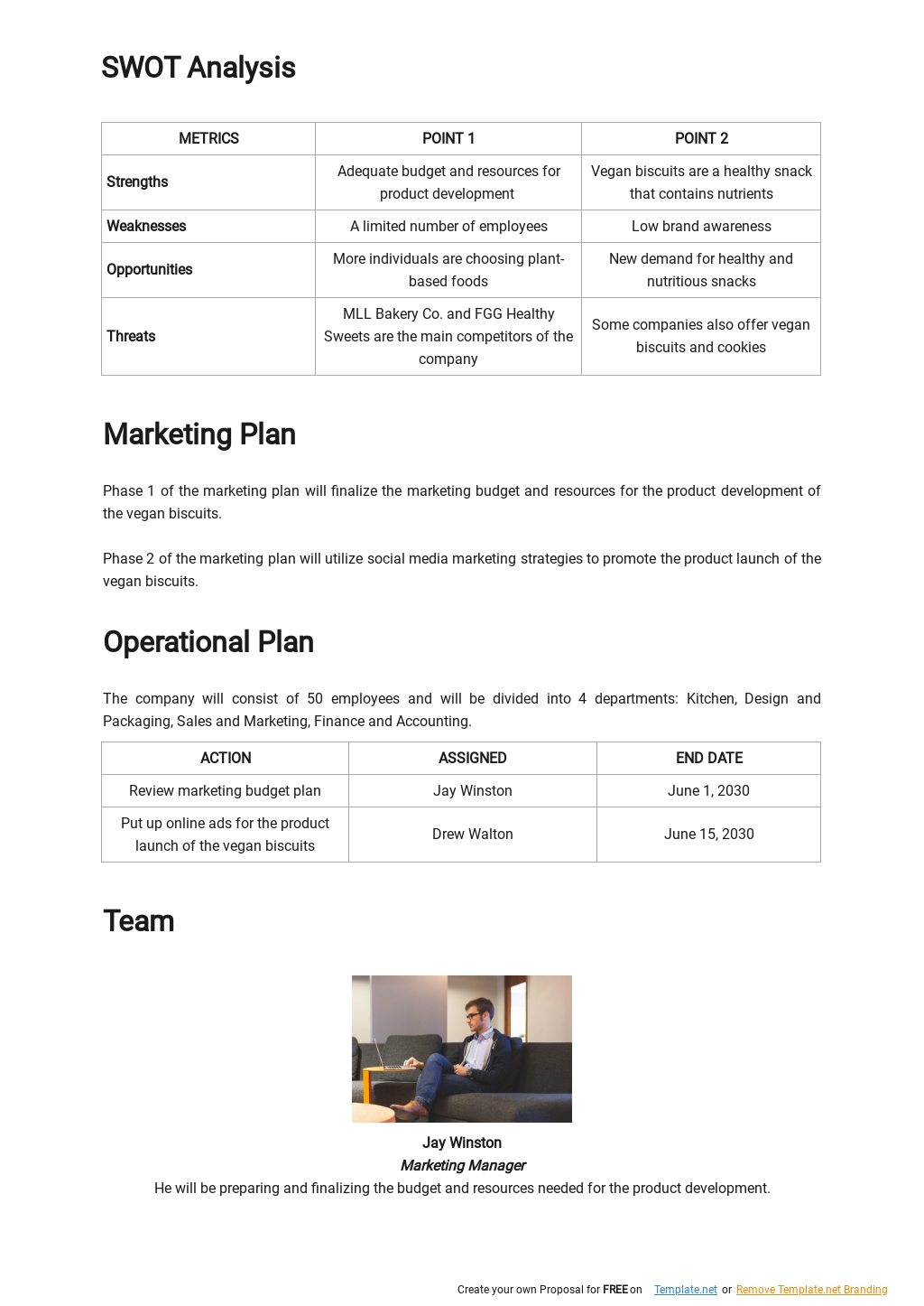 Product Development Business Plan Template 2.jpe