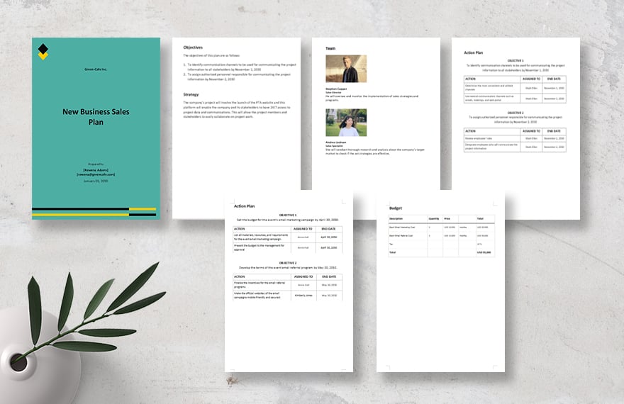 New Business Sales Plan Template
