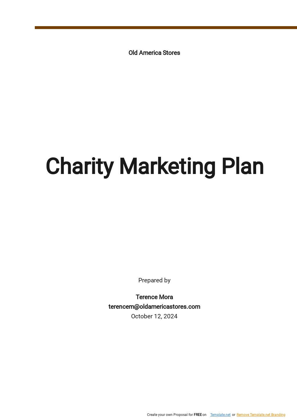 Free Sample Charity Marketing Plan Template
