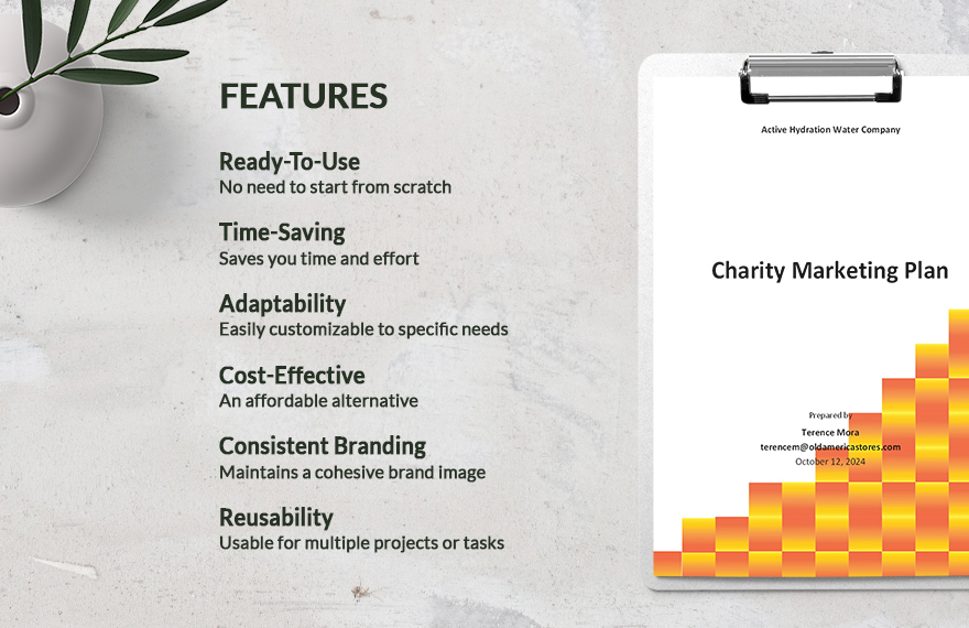Sample Charity Marketing Plan Template