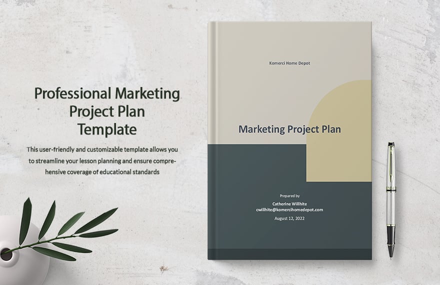 Professional Marketing Project Plan Template