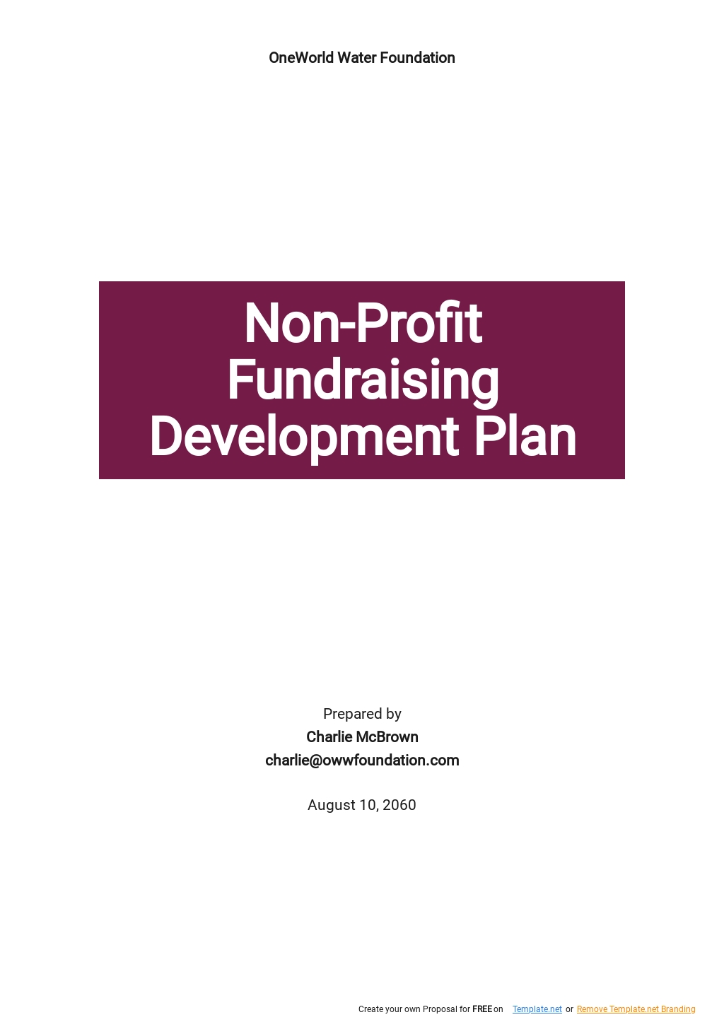 Nonprofit Fundraising Development Plan Template Google Docs, Word