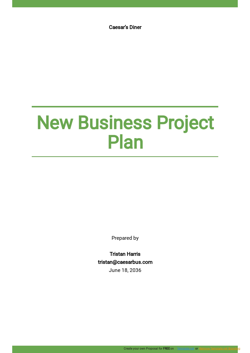 business plan for projects