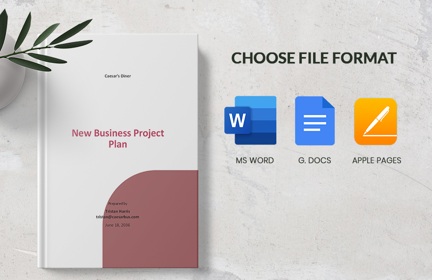 New Business Project Plan Template
