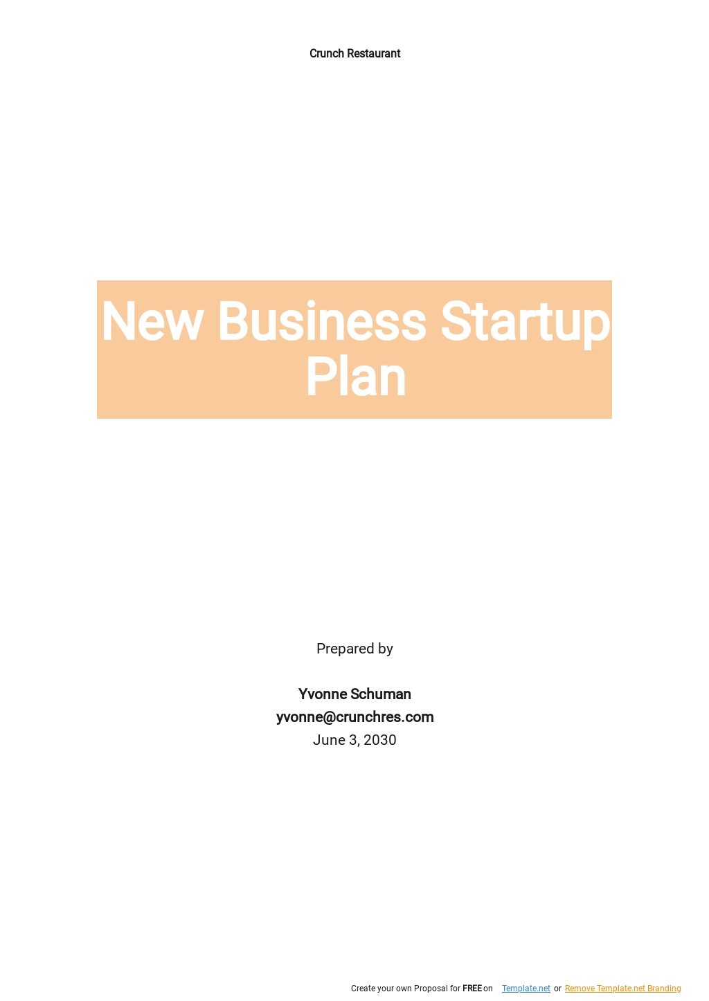 New Business Startup Plan Template