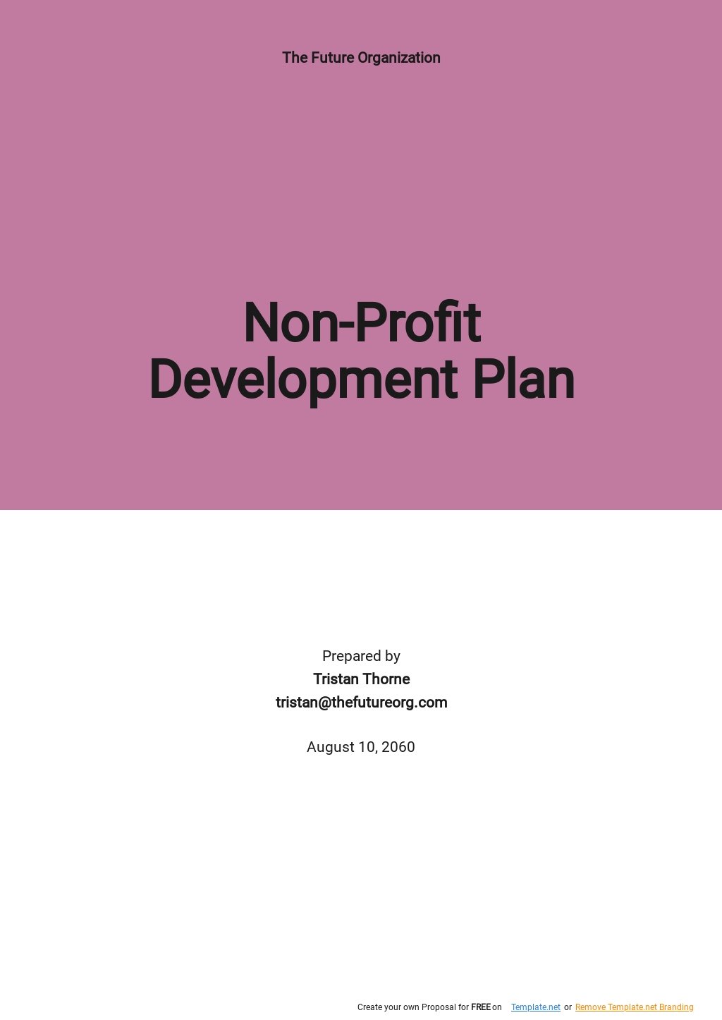 Sample Nonprofit Development Plan Template .jpe