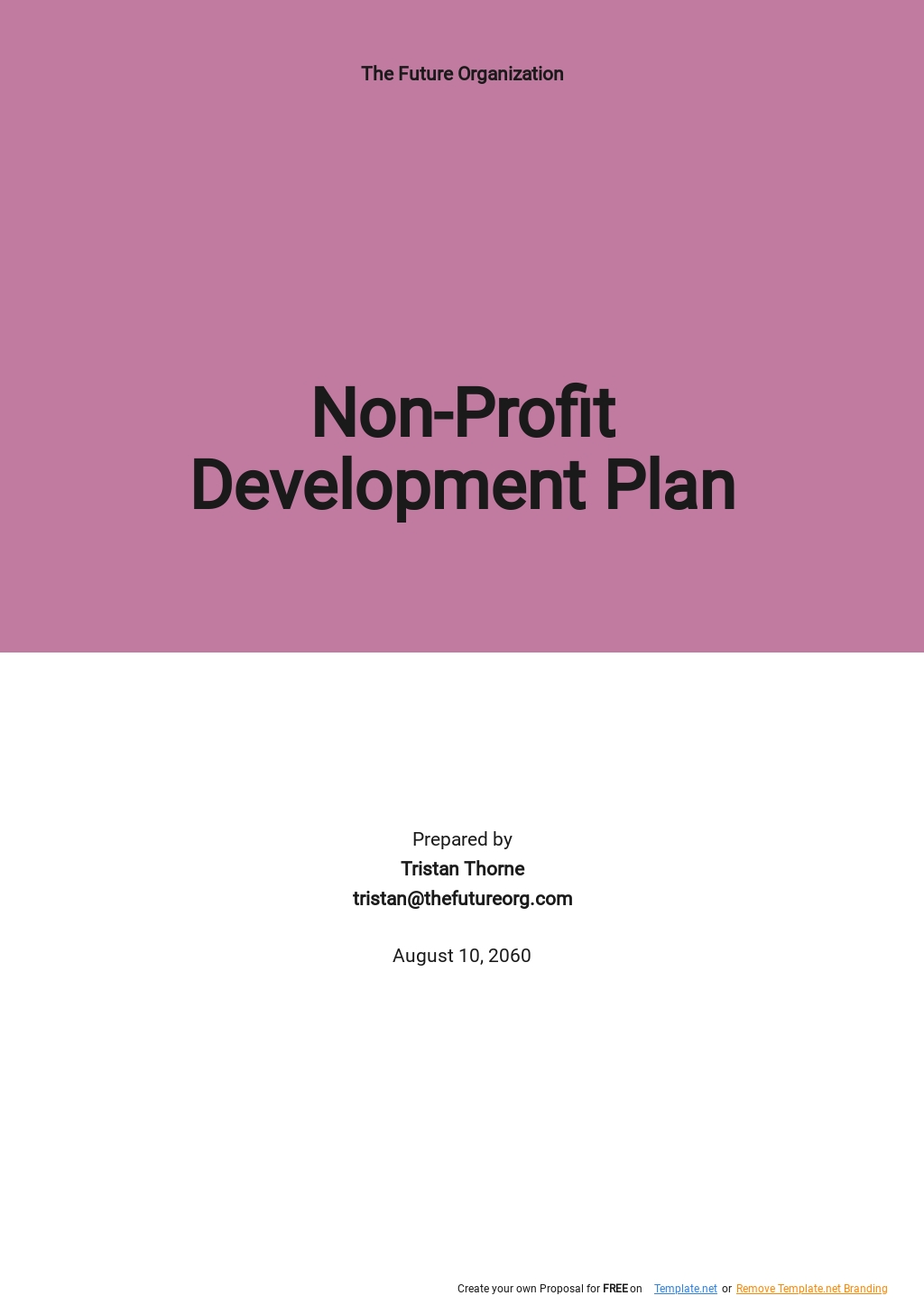 Sample New Business Development Plan Template Free PDF Google Docs