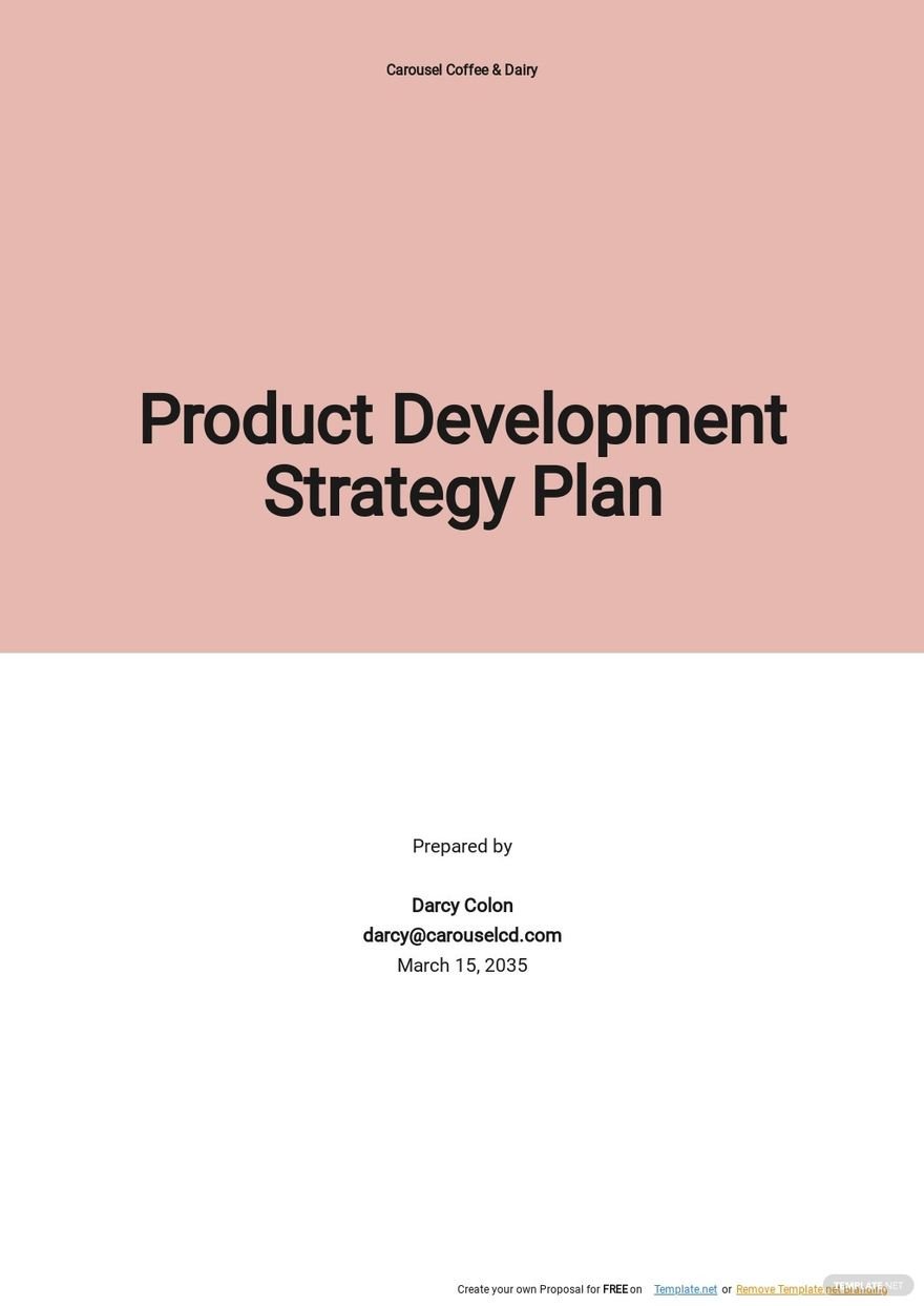 Product Development Strategy Plan Template