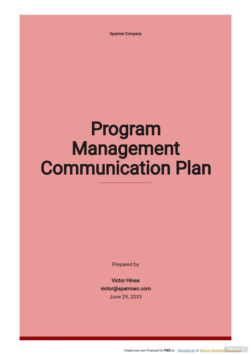 Free Sample Program Management Communication Plan Template