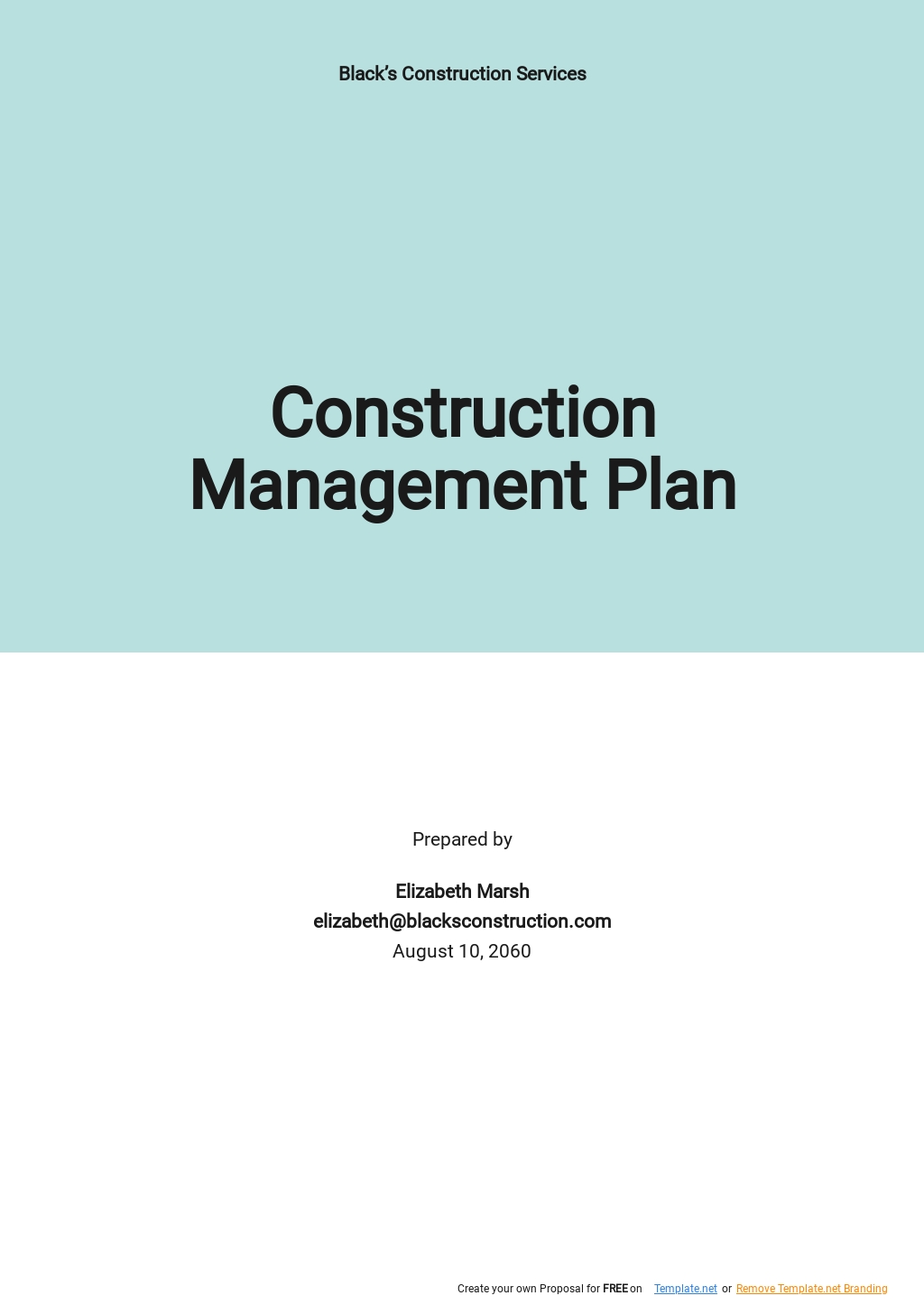 Construction Program Management Plan Template 