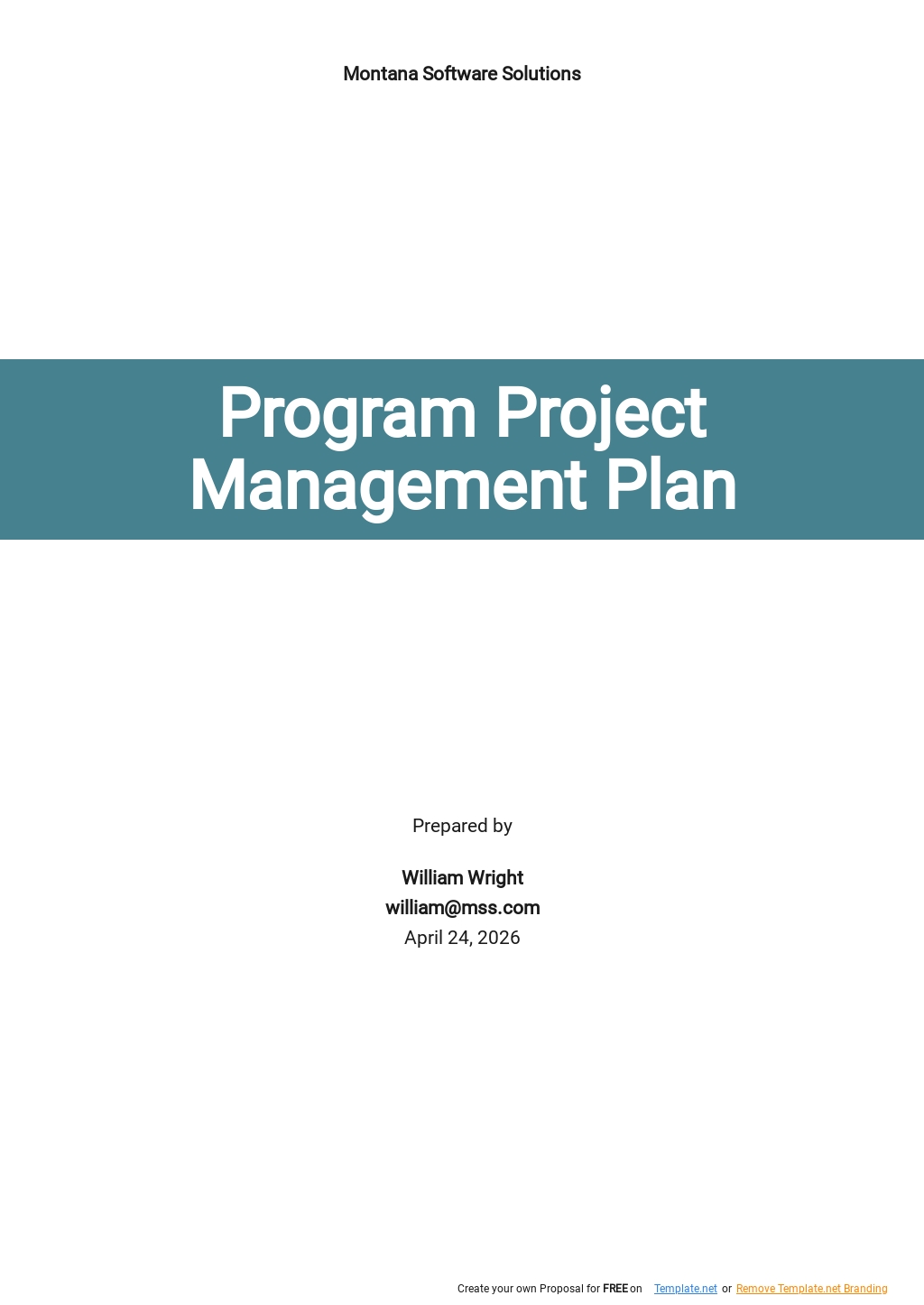 Program Management Templates Design Free Download Template