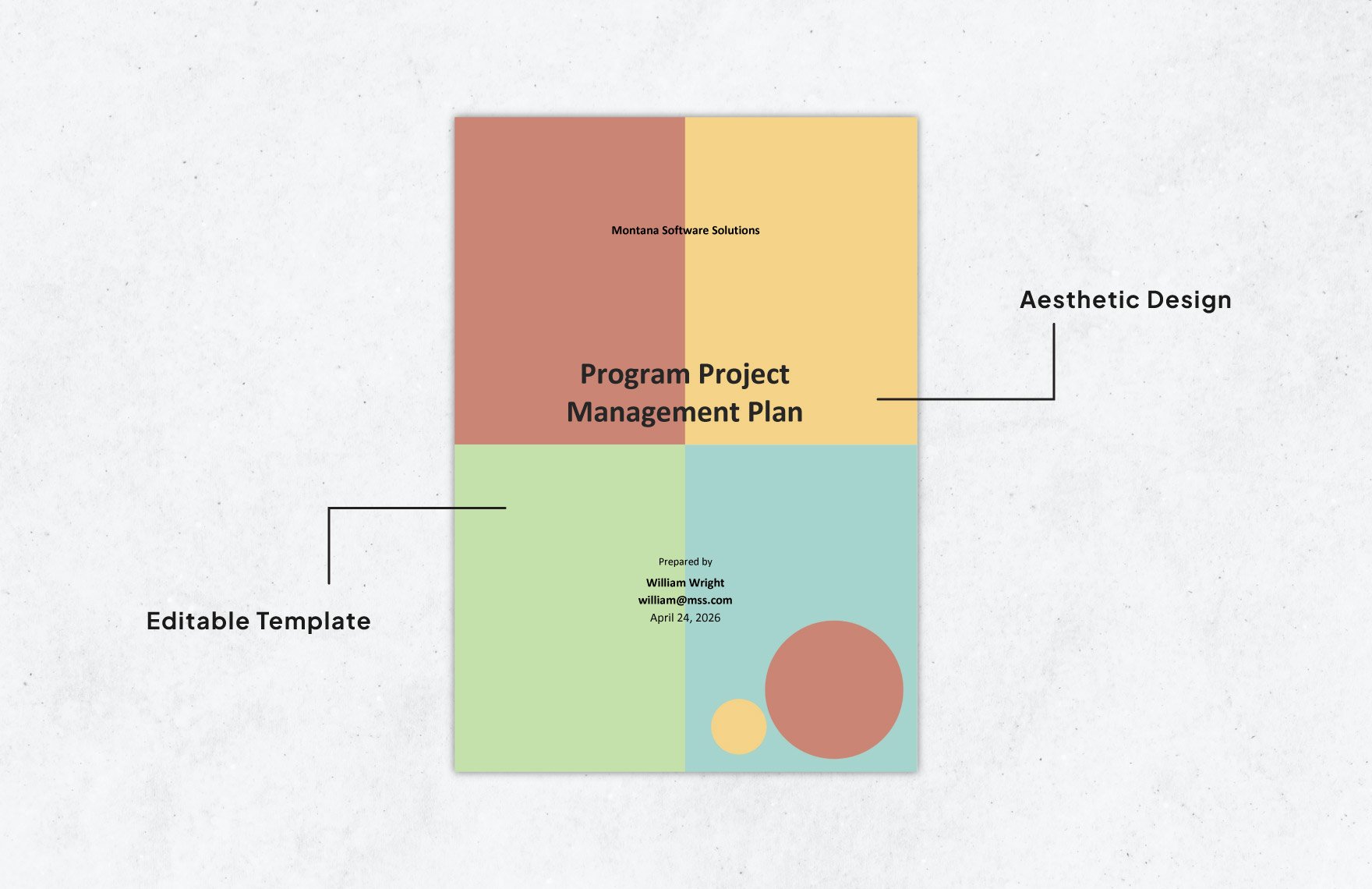 Program Project Management Plan Template