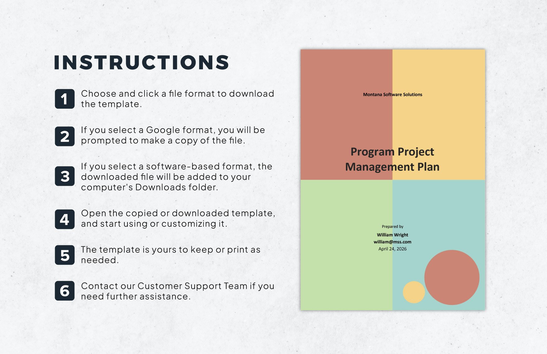 Program Project Management Plan Template
