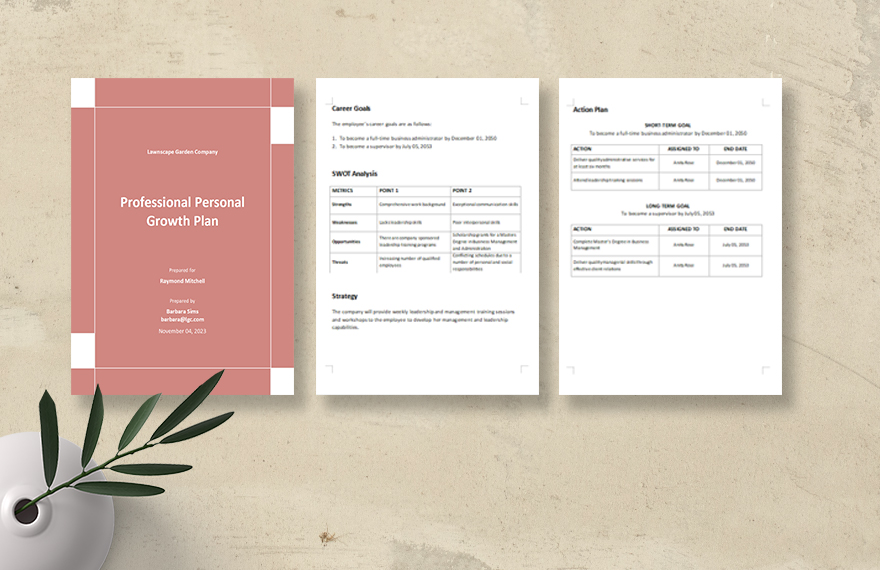 Professional Personal Growth Plan Template