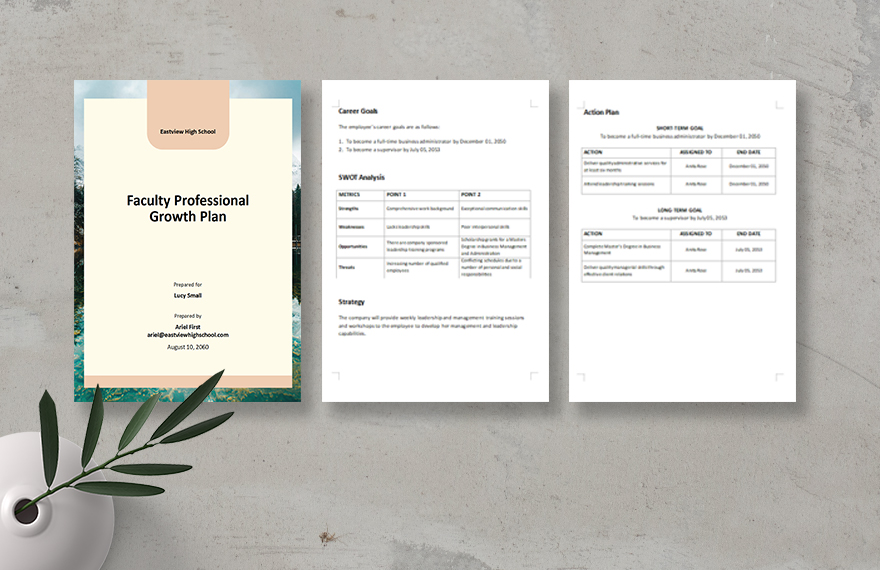 Faculty Professional Growth Plan Template 