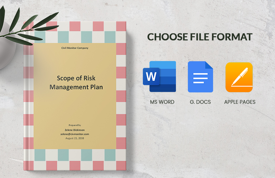 Scope of Risk Management Plan Template