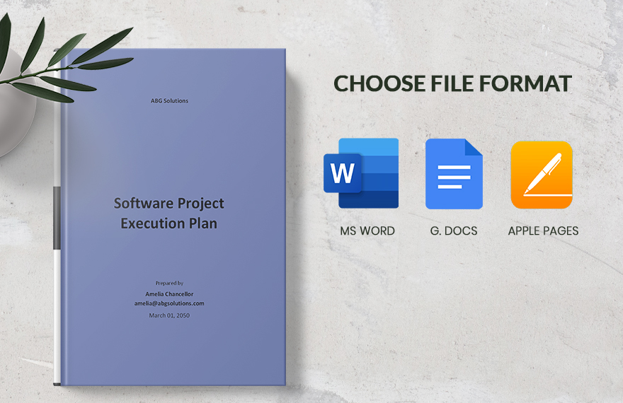 Software Project Execution Plan Template