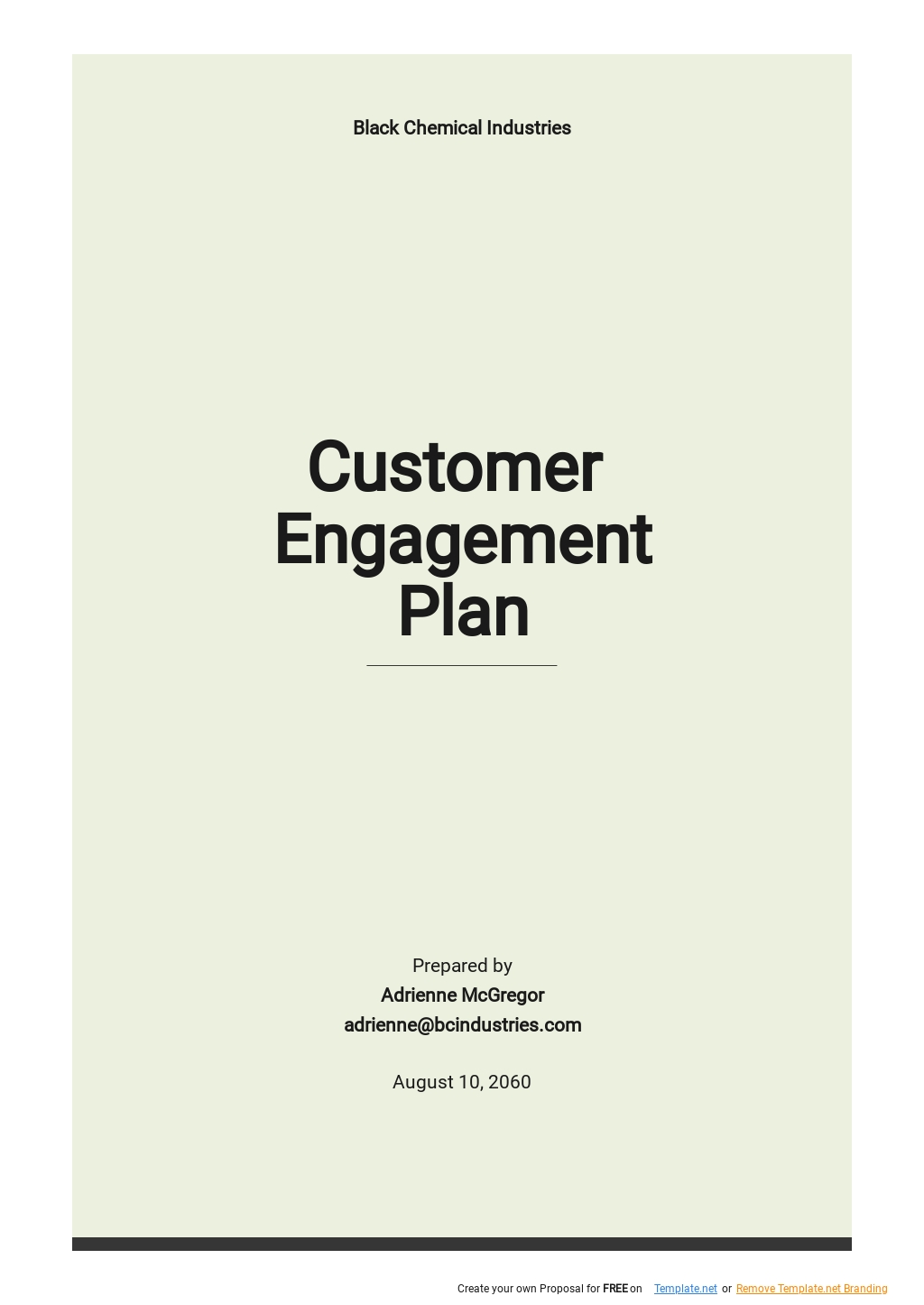 Customer Engagement Plan Template Google Docs Word Apple Pages PDF 