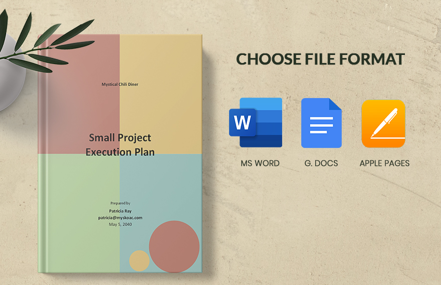 Small Project Execution Plan Template