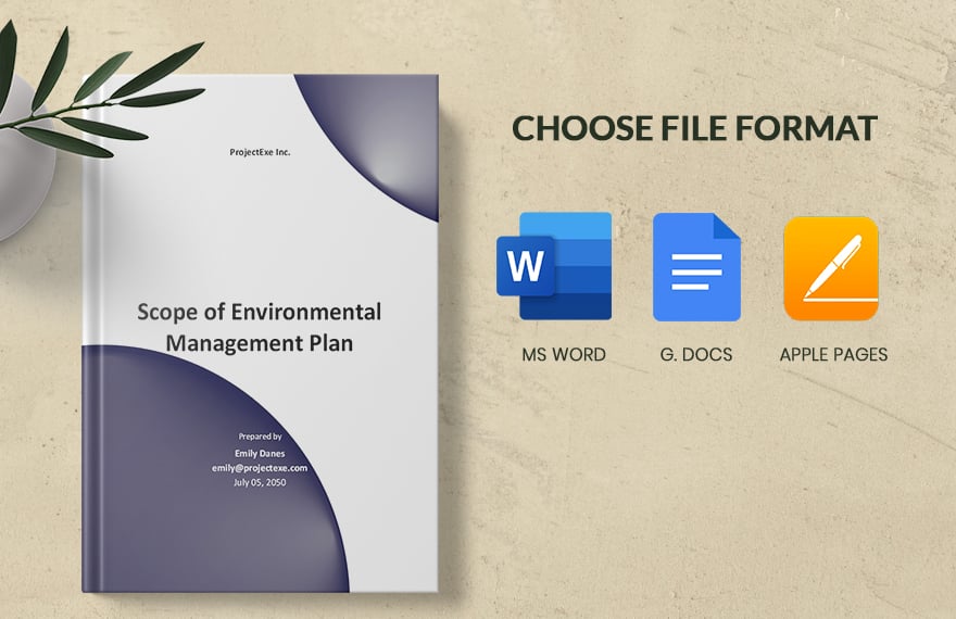 Scope of Environmental Management Plan Template