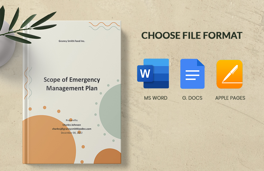 Scope Of Emergency Management Plan Template