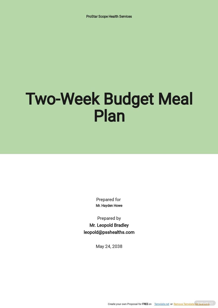 Two Week Budget Meal Plan Template.jpe