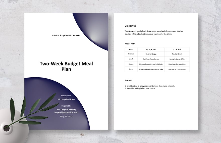 Two Week Budget Meal Plan Template