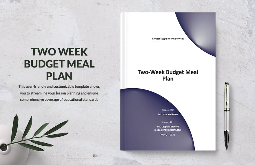 Two Week Budget Meal Plan Template
