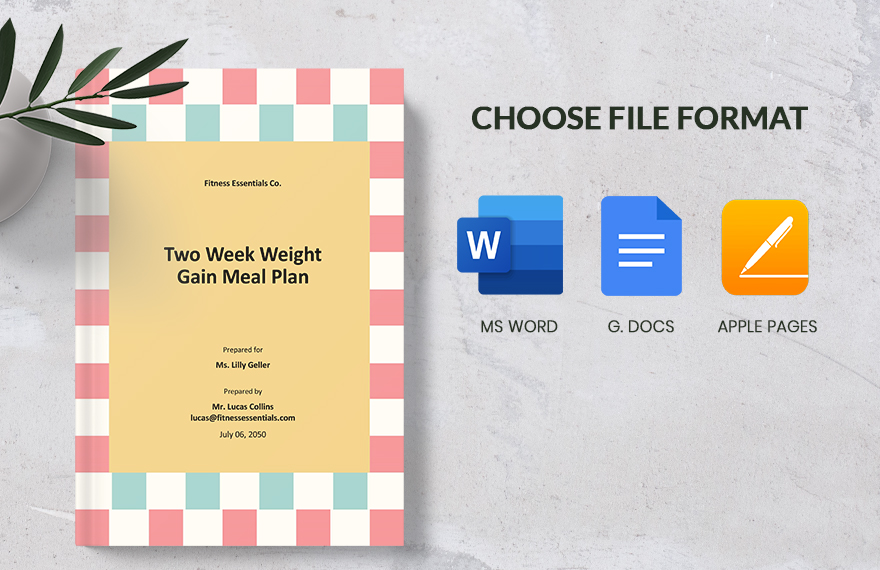 Two Week Weight Gain Meal Plan Template