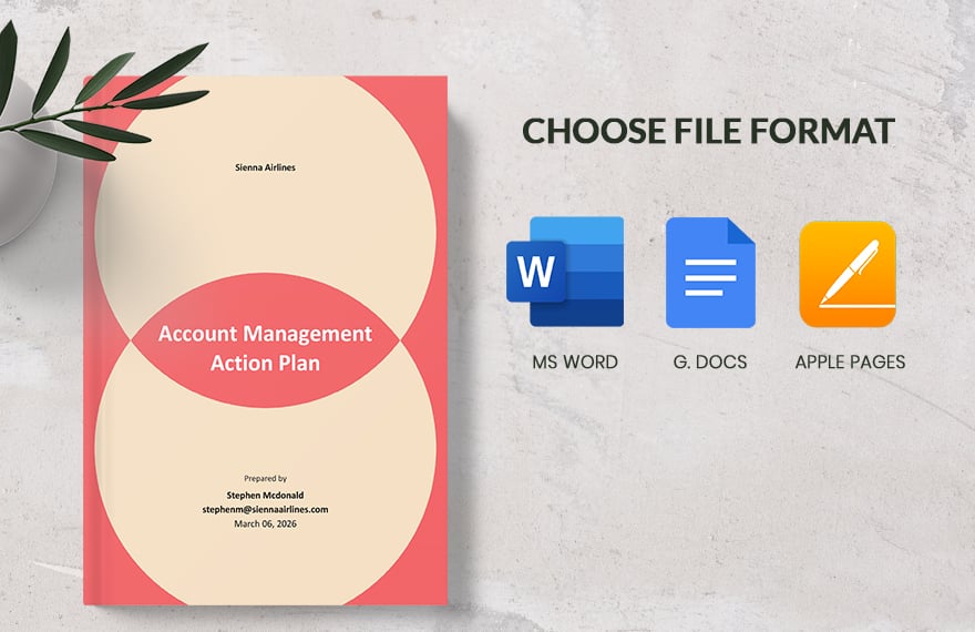 Account Management Action Plan Template