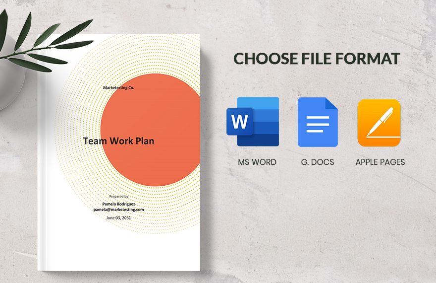 Team Work Plan Template