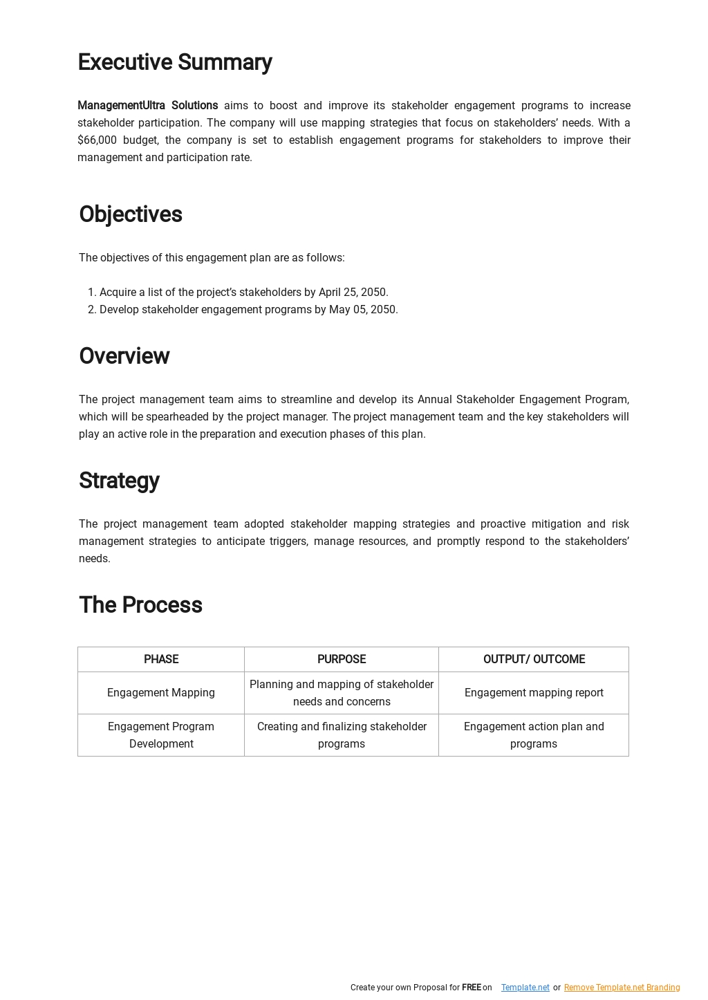 Free Simple Stakeholder Engagement Plan Template - Google Docs, Word ...