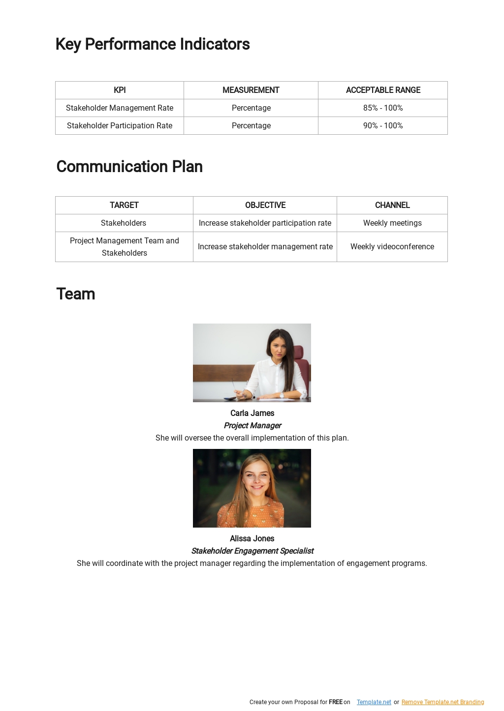 Free Simple Stakeholder Engagement Plan Template - Google Docs, Word ...