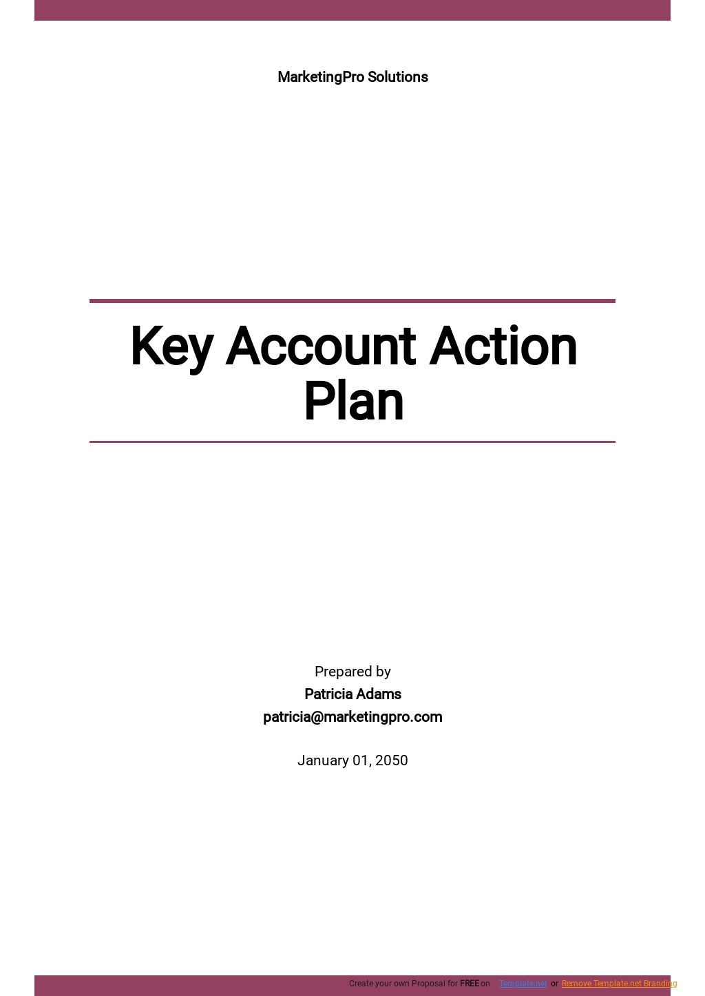 Key Account Action Plan Template