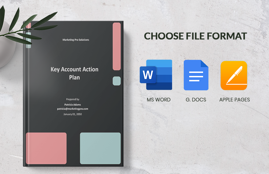 Key Account Action Plan Template