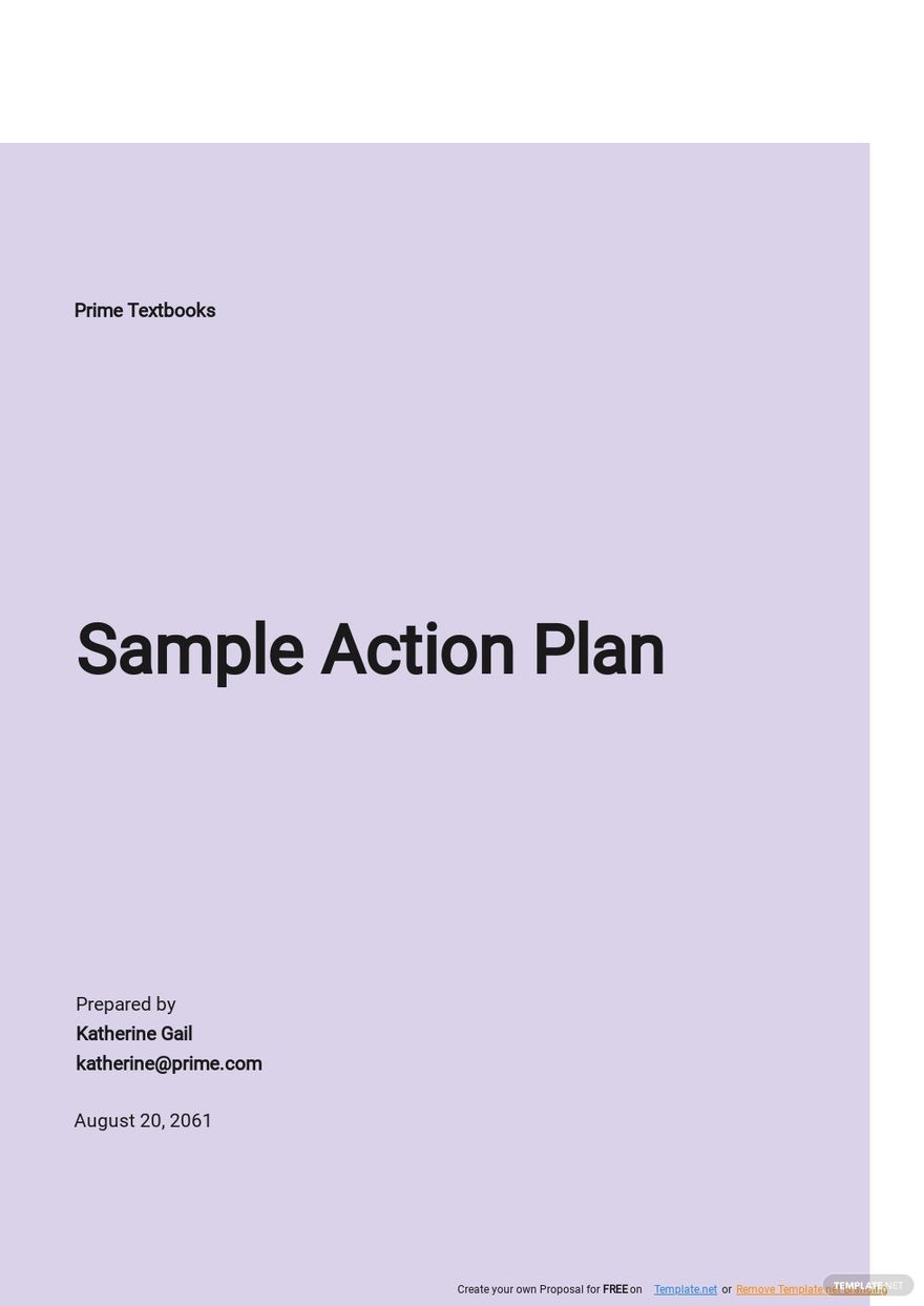 Free Sample Account Action Plan Template 
