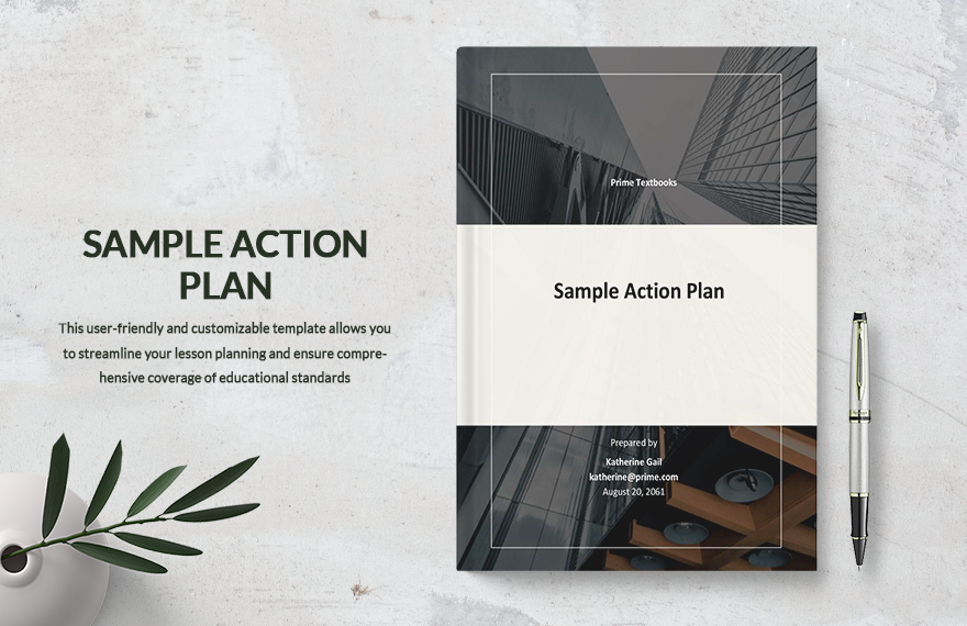 Sample Account Action Plan Template