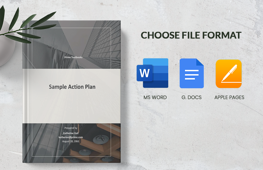 Sample Account Action Plan Template