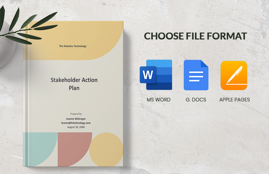 Stakeholder Action Plan Template 
