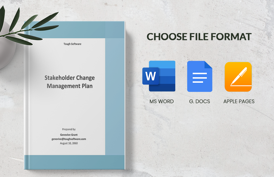 Stakeholder Change Management Plan Template 
