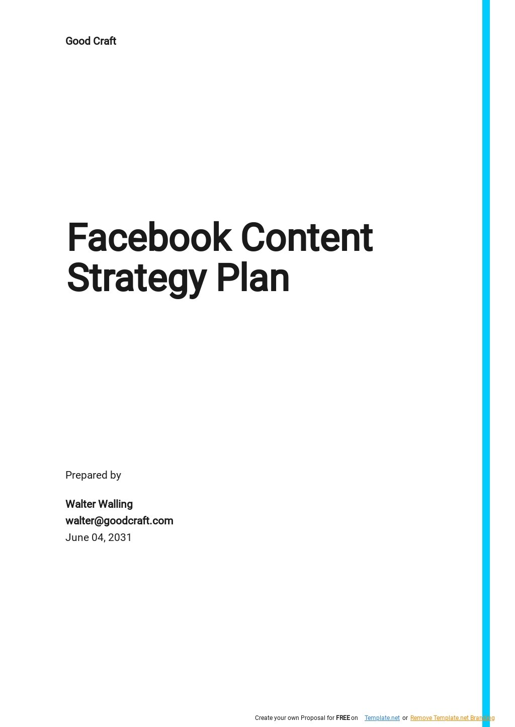 Facebook Content Strategy Plan Template Google Docs, Word, Apple
