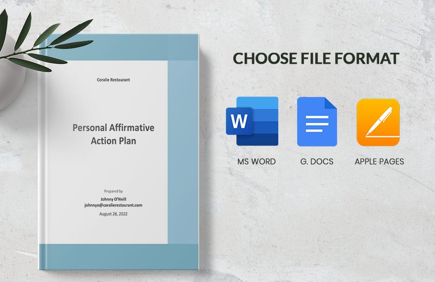 Personal Affirmative Action Plan Template