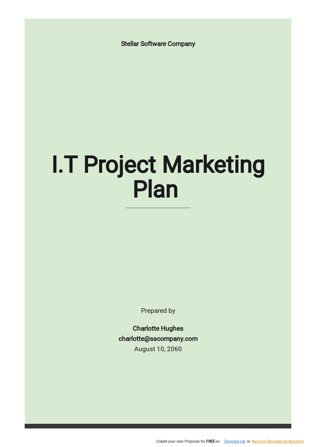 I.T Project Marketing Plan Template 
