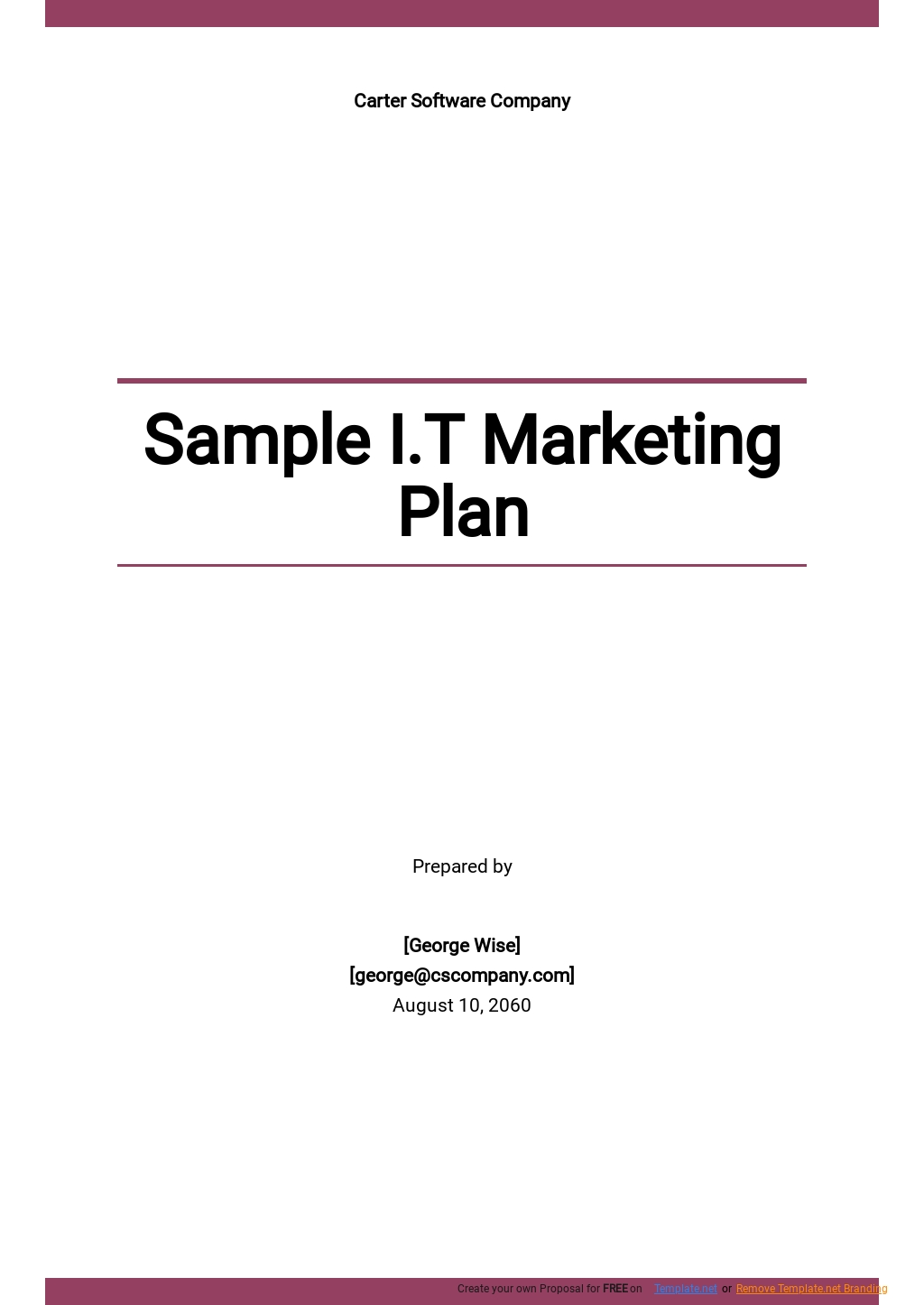 Free Sample I.T Marketing Plan Template 