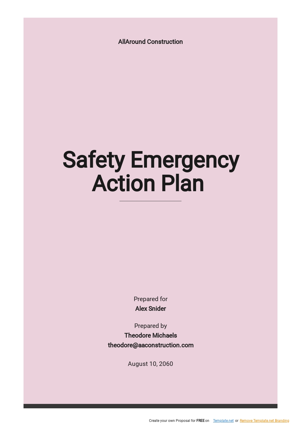 Safety Emergency Action Plan Template 