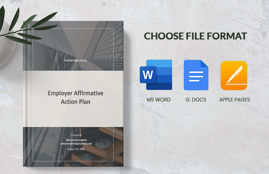 Employer Affirmative Action Plan Template 