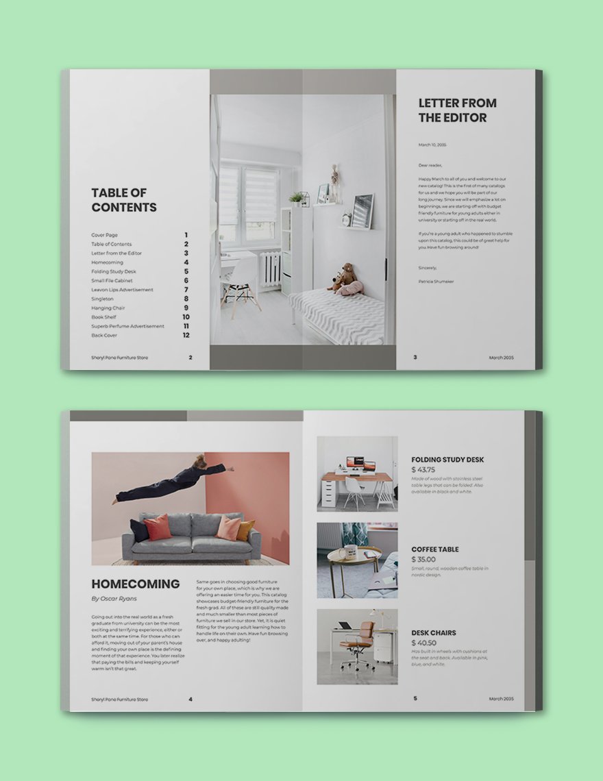 Furniture Store Product Catalog template Format