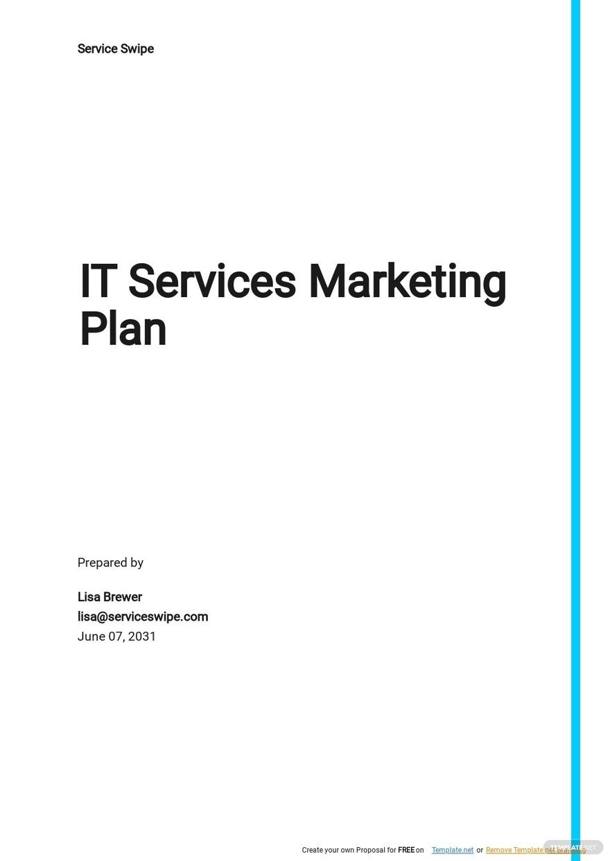 marketing plan for it services company